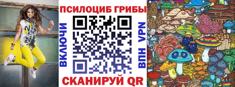 Галлюциногенные грибы Psilocybe  Амурск 